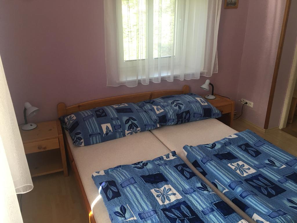 Appartamento U Evy Jarošové Desná Esterno foto